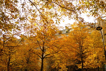 Fototapeta premium Paris, France