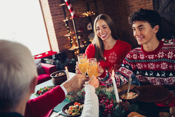 Portrait of full friendly family click champagne juice glass celebrate christmas x-mas eve dinner...