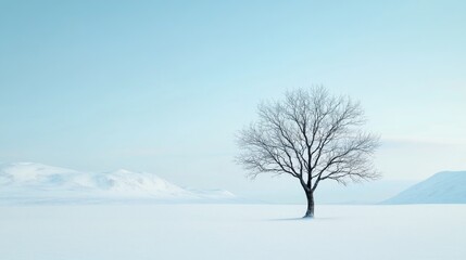 Obraz premium A solitary tree stands majestically in a snowy landscape under a serene blue sky, capturing the essence of winter tranquility.