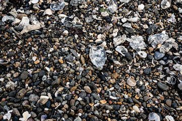 海岸線の砂浜は場所によっては砂利の足を切りそうな貝殻やガラスの破片があります。横須賀市久里浜