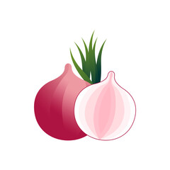 Onion vector, Onion plant for food seasoning.