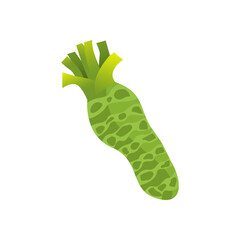 Wasabi plant vector, wasabi plant enhances food flavor.