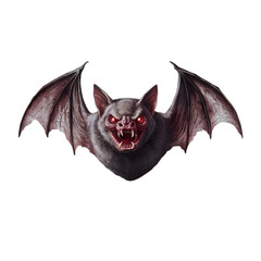 Obraz premium halloween vampire bat 