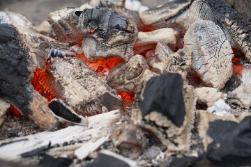 Red Coals In Dying Fire Close-Up With Wood Ash