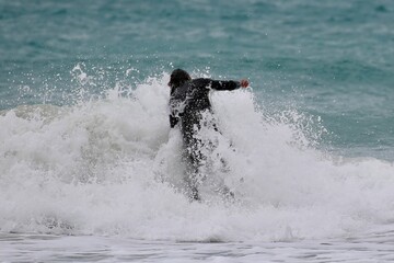 surfer