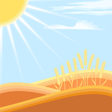 Landscape, scenery, wheat fields. Agriculture, farm, healthy food, organic, natural, bio, eco. Harvest. Vector illustration, background, banner, wallpaper.