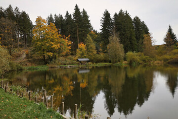 Wulsttteich, Neuhaus am Rennweg, Rennsteig im Thüringer Wald, Landkreis Sonneberg, Thüringen, Deutschland