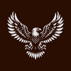 Obraz premium eagle with wings