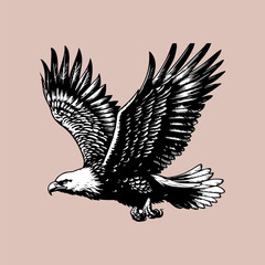 eagle vector illustration