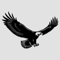 Obraz premium bald eagle in flight