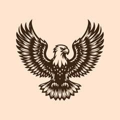 Obraz premium eagle with wings