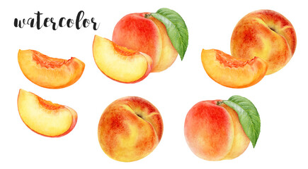 This is a Beautiful and Vibrant Watercolor Illustration showcasing a Peach and its Half