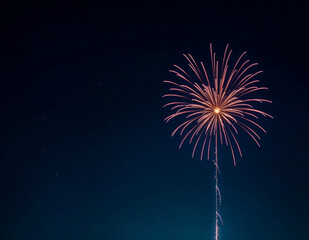 a fireworks display with a fireworks explloding in the clear. dark blue night sky