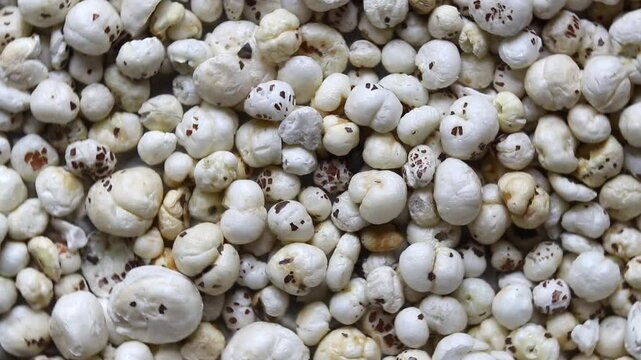 Top View of Makhana or Fox Nut Rotating, Also Known as Lotus Seed Pop, Euryale Ferox or Gorgon Nut