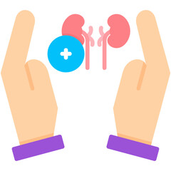 Kidney Support Icon