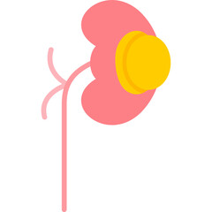 Kidney Cyst Icon