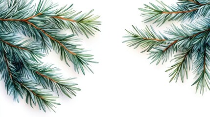 Obraz premium Christmas Tree Branches Watercolor Illustration