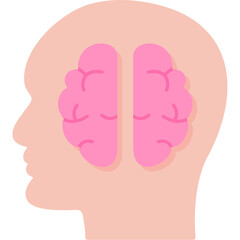 Human Brain Icon