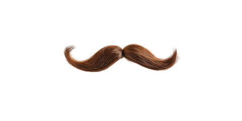 Photograph of a brown mustache shape on a white background.