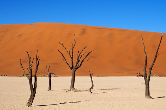 Dunes of Namibia