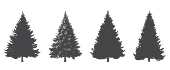 fir tree silhouettes. Christmas tree. Christmas, New Year and nature design element. conifer vector image in simple style