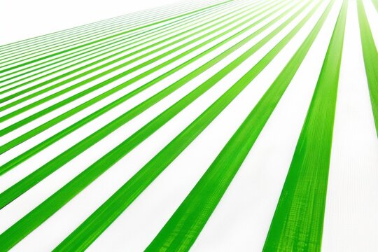 Serene composition of green parallel lines in minimalist depiction of tranquility