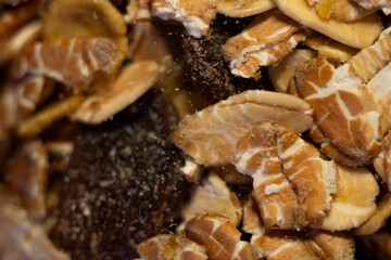 Close-up view of assorted natural muesli
