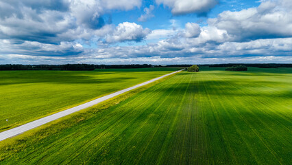 cars and trucks are driving along the highway