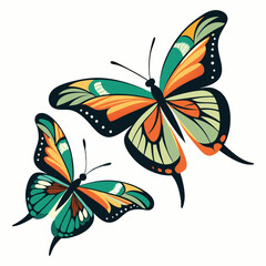 Collection of  colourful butterfly