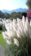 Fluffy white grass plumes in a garden with green foliage and mountain background.