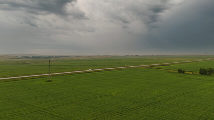 cars and trucks are driving along the highway