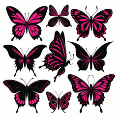 Collection of  colourful butterfly