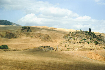 landscape with trees in the background In Sicily, southern Italy