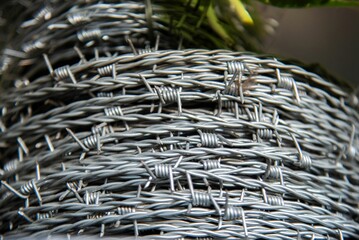 Close-up of Barbed Wire Roll