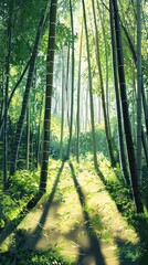 Fototapeta premium Sunlight Filtering Through a Bamboo Forest