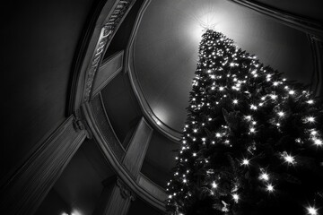 Obraz premium A Decorated Christmas Tree Viewed From Below in a Grand Building