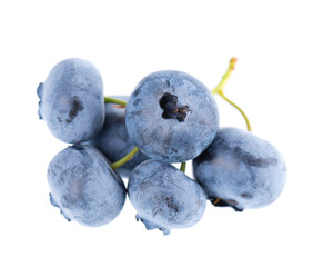 Fresh blueberry isolated on white background. Bilberry or whortleberry berries. Clipping path.