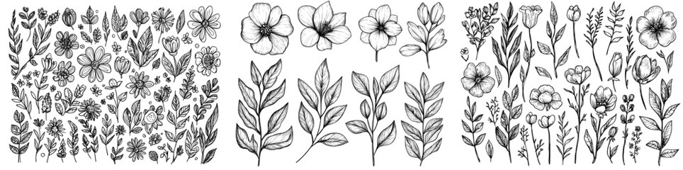 Fototapeta premium An ornamental sketch of blossomed flowers. Vintage floral ornaments isolated on a modern background