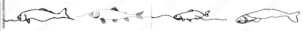 Poster drawing style of salmon fish in continuous lines. minimalist black linear sketch on white background
