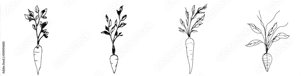 Poster The carrot vegetable is represented in continuous line art drawing style. It is drawn in a black linear style and isolated on a white background.