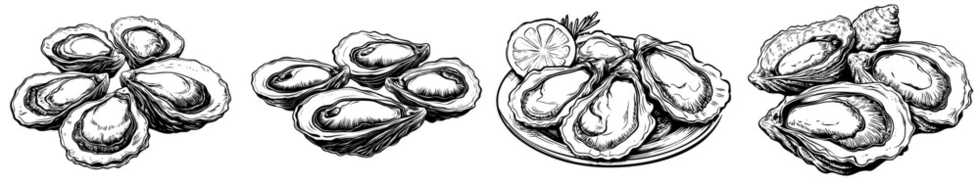 Modern icon of oysters. Isolated illustration of oyster shell. Seafood delicacy. Sketch of food. Fresh sea clam in shell. Hand-drawn marine animal. Bivalve molluscs. Monochrome element.