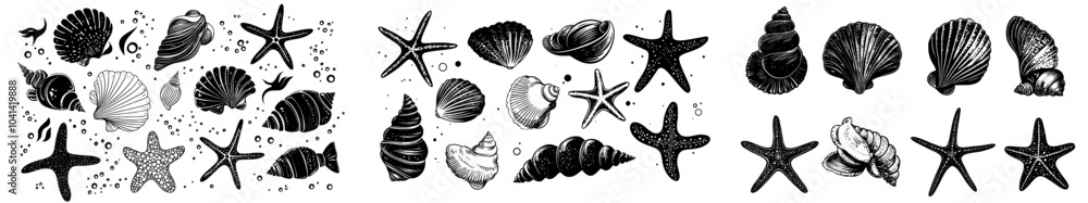 Poster stylish set of seashell silhouettes. seashell silhouettes on white background. image of scallop and 