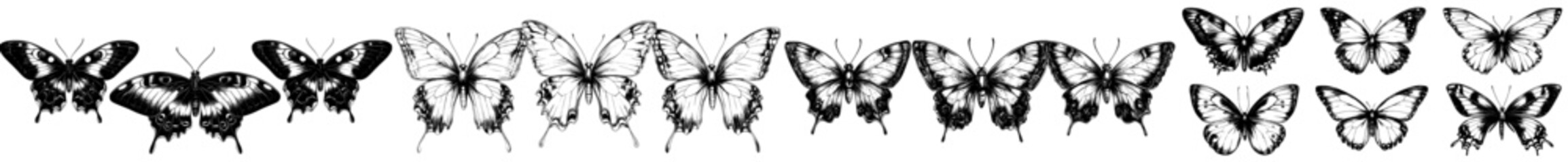 Vintage etching set of butterflies with open wings, ancient sketch of moths, black tattoos engraving on white.