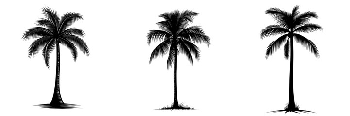 Tropical tree silhouette, hand drawn black line doodle sketch style illustration