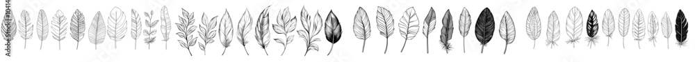 Poster The feathers line art is an elegant outline of feathers on a white background. It is ideal for textile patterns, packaging designs, and minimalist aesthetic designs.