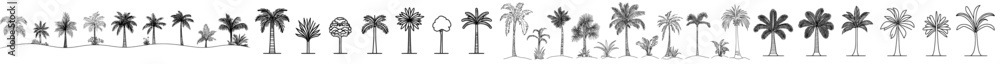 Poster an illustration of a palm tree sketch in a tropical environment. the design can be for logos, icons,