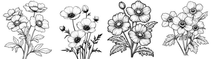 Modern silhouette illustration of fireweed wild flower. Willow herb. Fireweed. Hand-drawn botanical illustration. Modern graphic flower and silhouette design. Perfect for packaging.