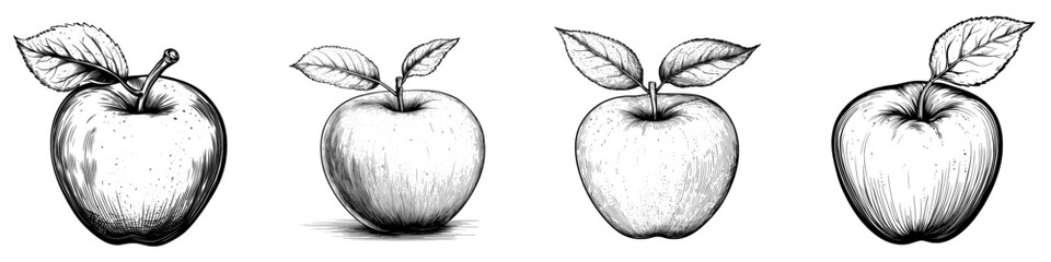 An apple drawing, a fruit head, a realistic sketch in black and white