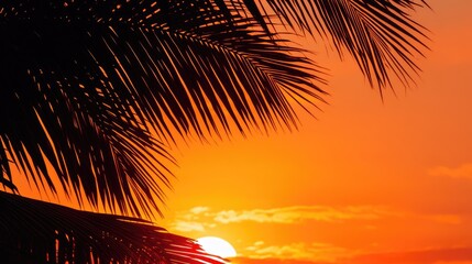 Silhouetted palm leaves contrast beautifully with a vibrant orange sky evoking a tranquil and warm atmosphere typical of a sunset or sunrise