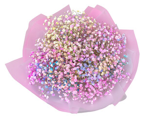Bouquet of rainbow gypsophila isolated on white background. Fresh cut flower. Top view.